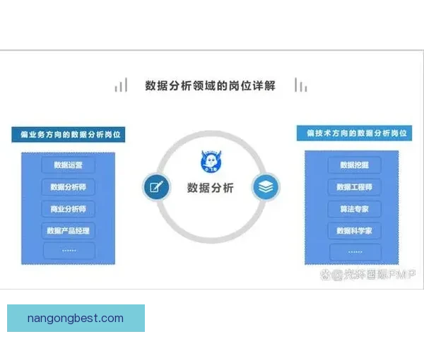 哪家足球分析平台最专业全面 提供精准数据和实战分析 哪家足球分析平台最专业全面 提供精准数据和实战分析