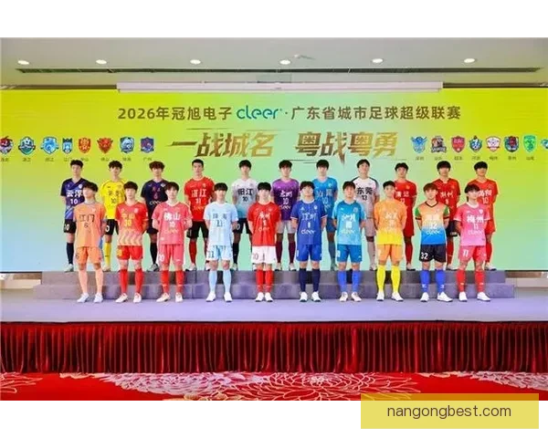 广东超级联赛最新排名全面解析及球队表现深度点评