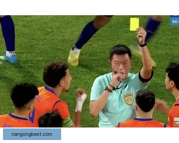 意甲争议点球引发热议裁判委员会作出回应解读